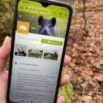 Display eines  Smartphones mit der App der Wildschweinroute
